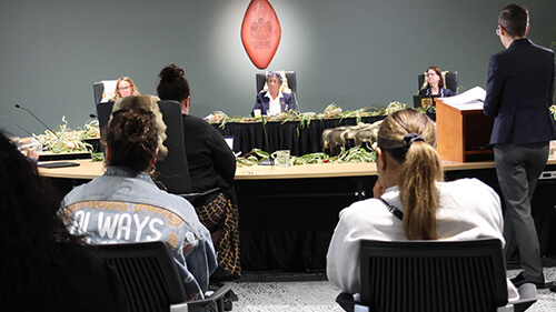 Featured image for “Criminal justice system hearing – Community Voices Day 2”
