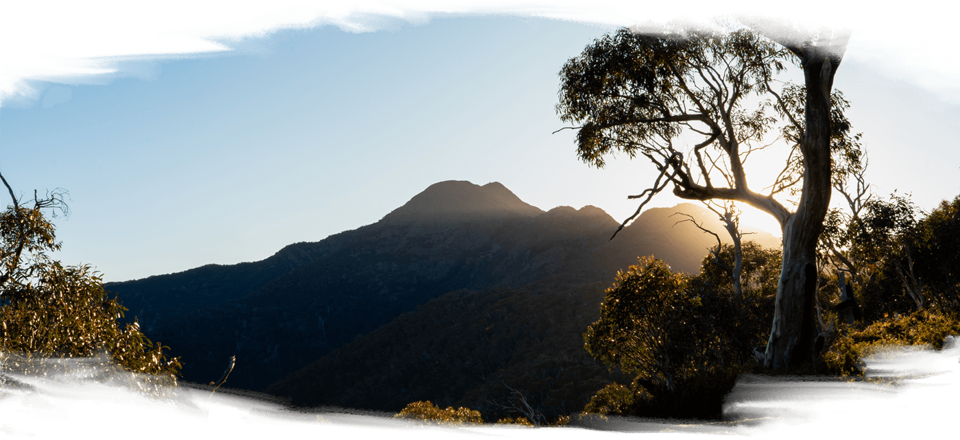 A sunrise with Bulla Bulla (Mt Buller) silhouetted by the sun and gum trees on Taungurung Country
