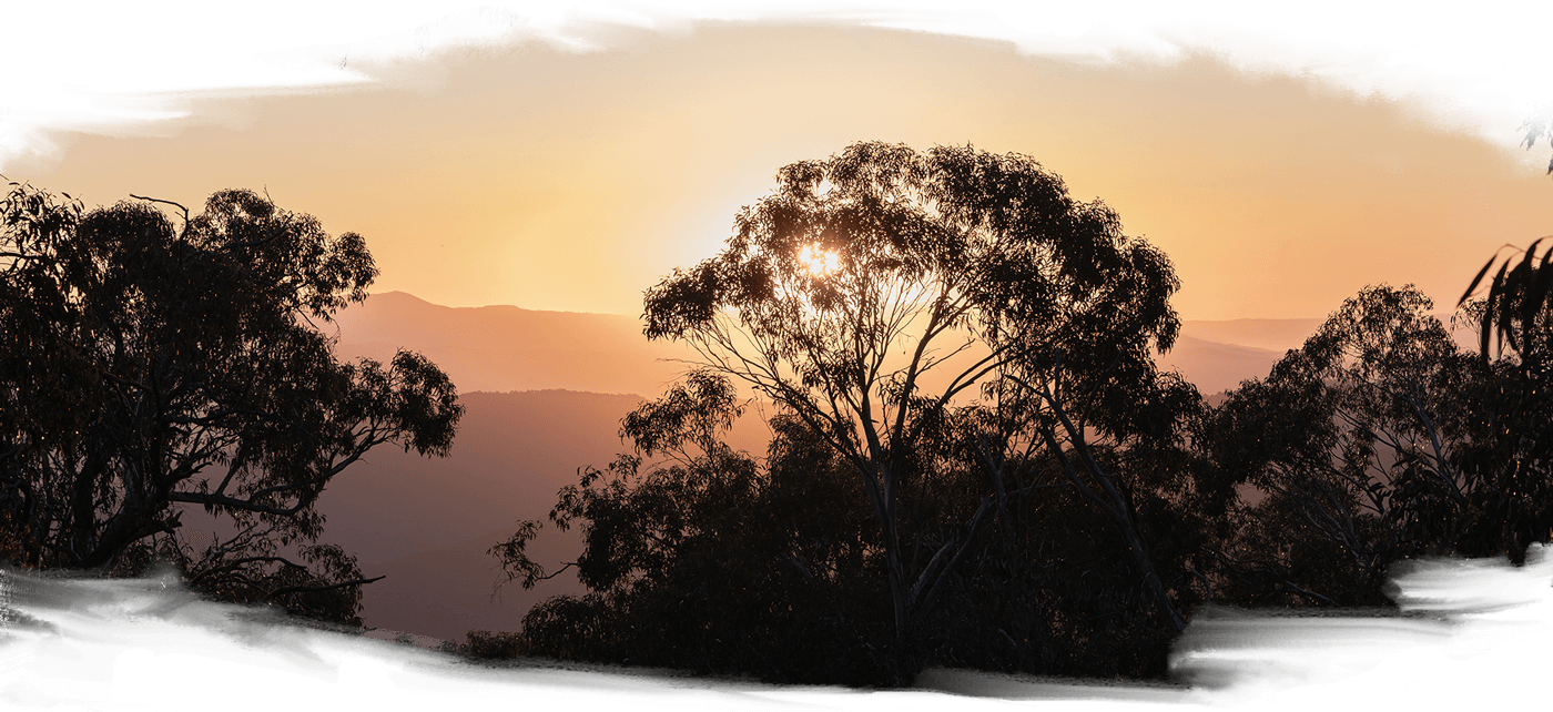 A sunset viewed between gum trees across a multi tiered mountain landscape from Bulla Bulla (Mt Buller) - Taungurung Country