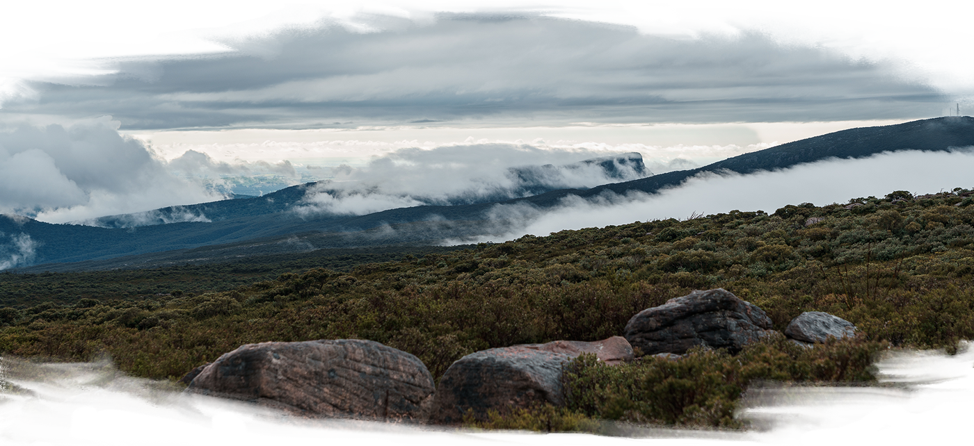 Looking down on clouds hanging low over a valley full of lush green bushes at Gariwerd (Grampians) - Djab Wurrung and Jardwardjal Country.
