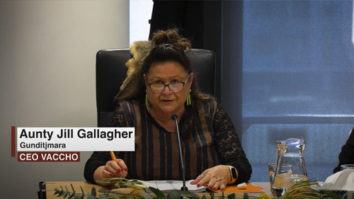 Aunty Jill Gallagher CEO of Vaccho in profile at a Yoorrook public hearing.