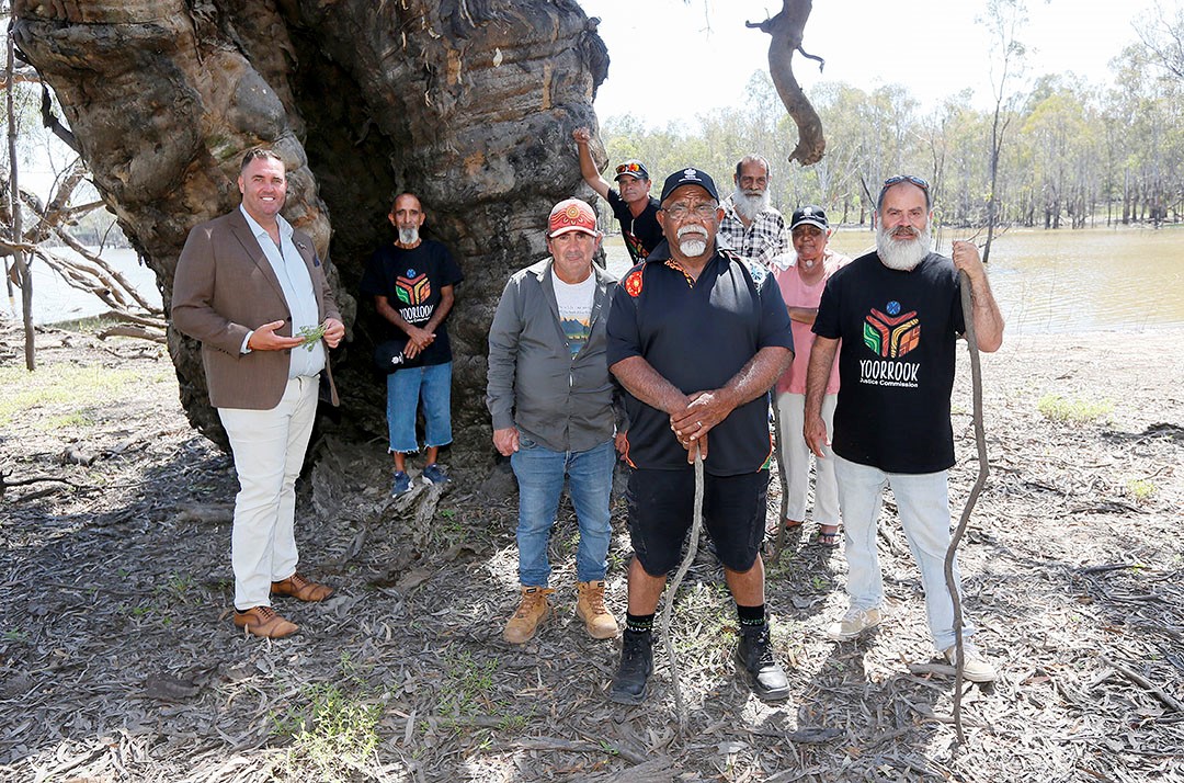 First People posing in front of a gigantic birthing tree near Robinvale