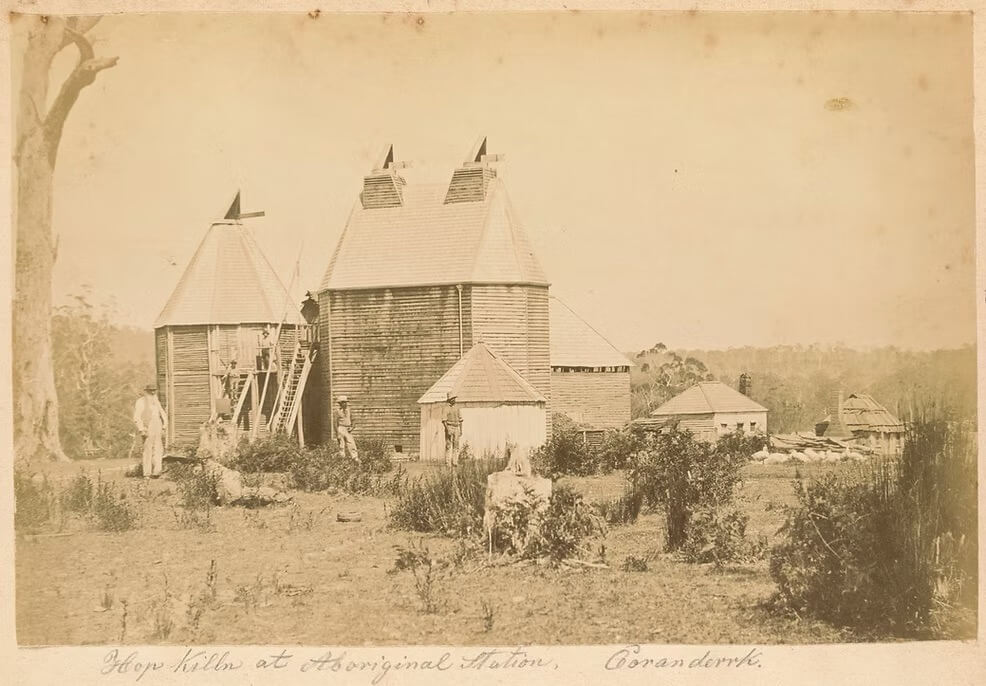 Hops kilns at Aboriginal Station, Coranderrk.